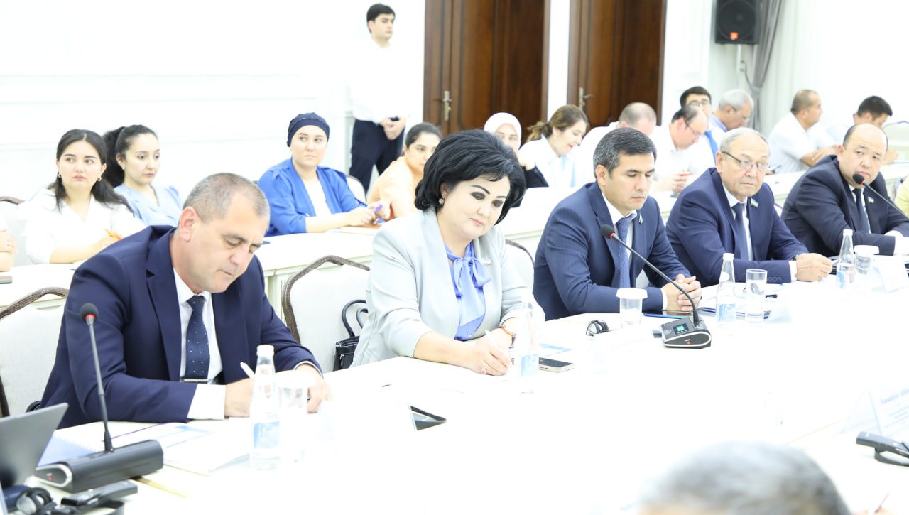 Роль парламента в правозащитных механизмах ООН