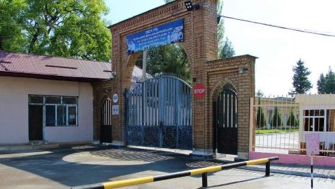 Ayollar koloniyasida monitoring o'tkazildi
