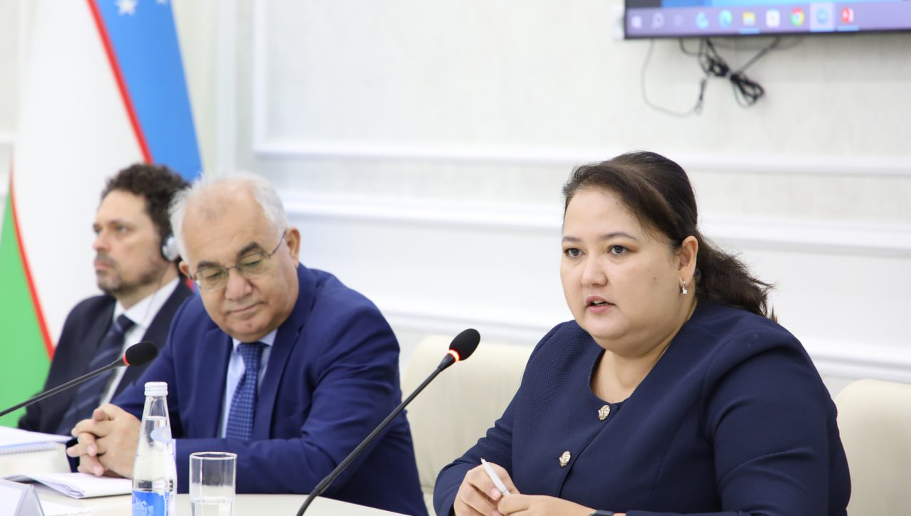 Human rights-based approach to budgeting of economic, social and cultural rights and rights to a healthy environment