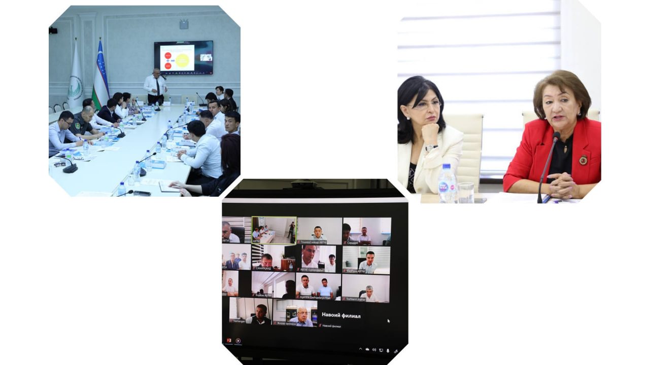 The National Programme for Human Rights Education in Action