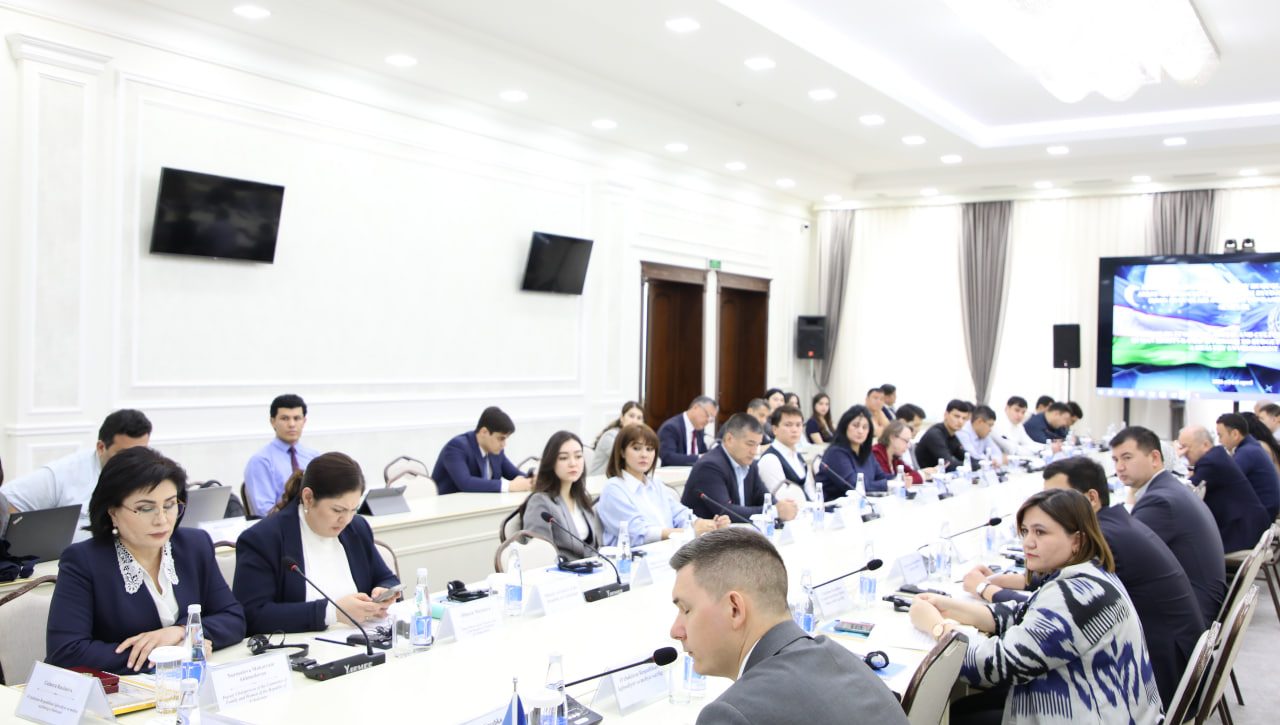 Human rights-based approach to budgeting of economic, social and cultural rights and rights to a healthy environment