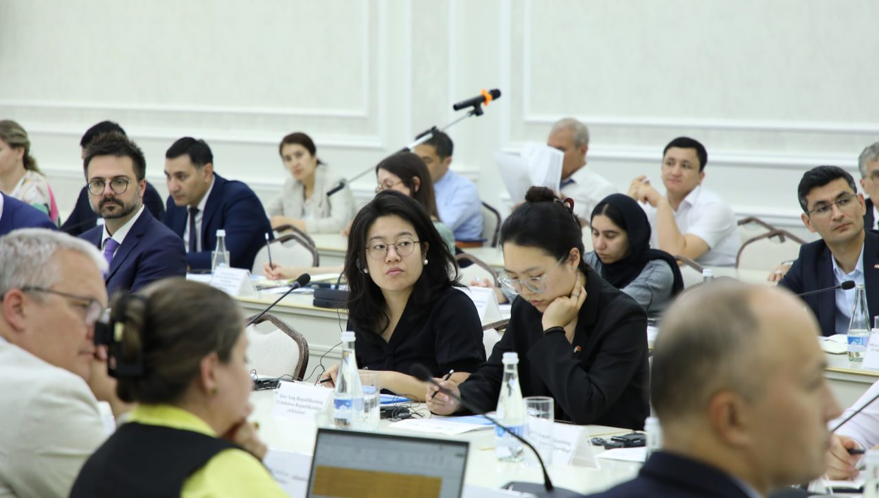 INSON HUQUQLARI BO‘YICHA 2030 YILGACHA MILLIY STRATEGIYA LOYIHASI YUZASIDAN ELCHIXONALAR VA XALQARO TASHKILOTLAR VAKILLARI BILAN MASLAHATLASHUVLAR
