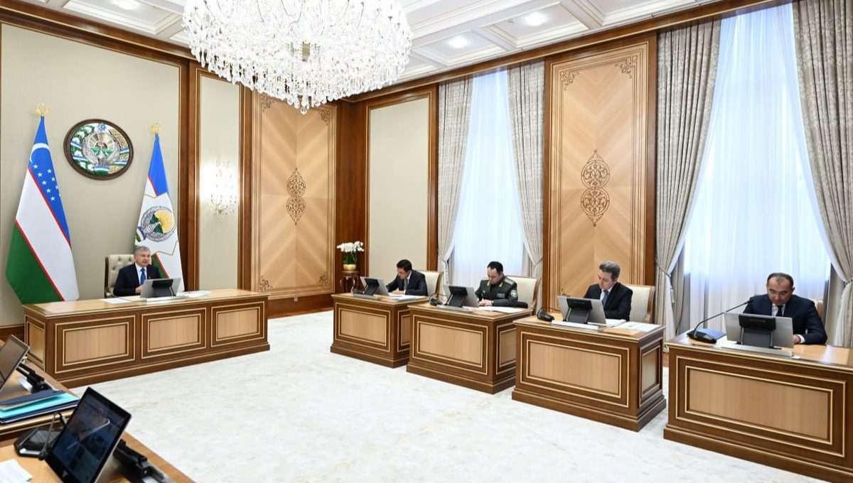 Рассмотрены предложения по запуску в космос искусственного спутника и подготовке первого отечественного космонавта