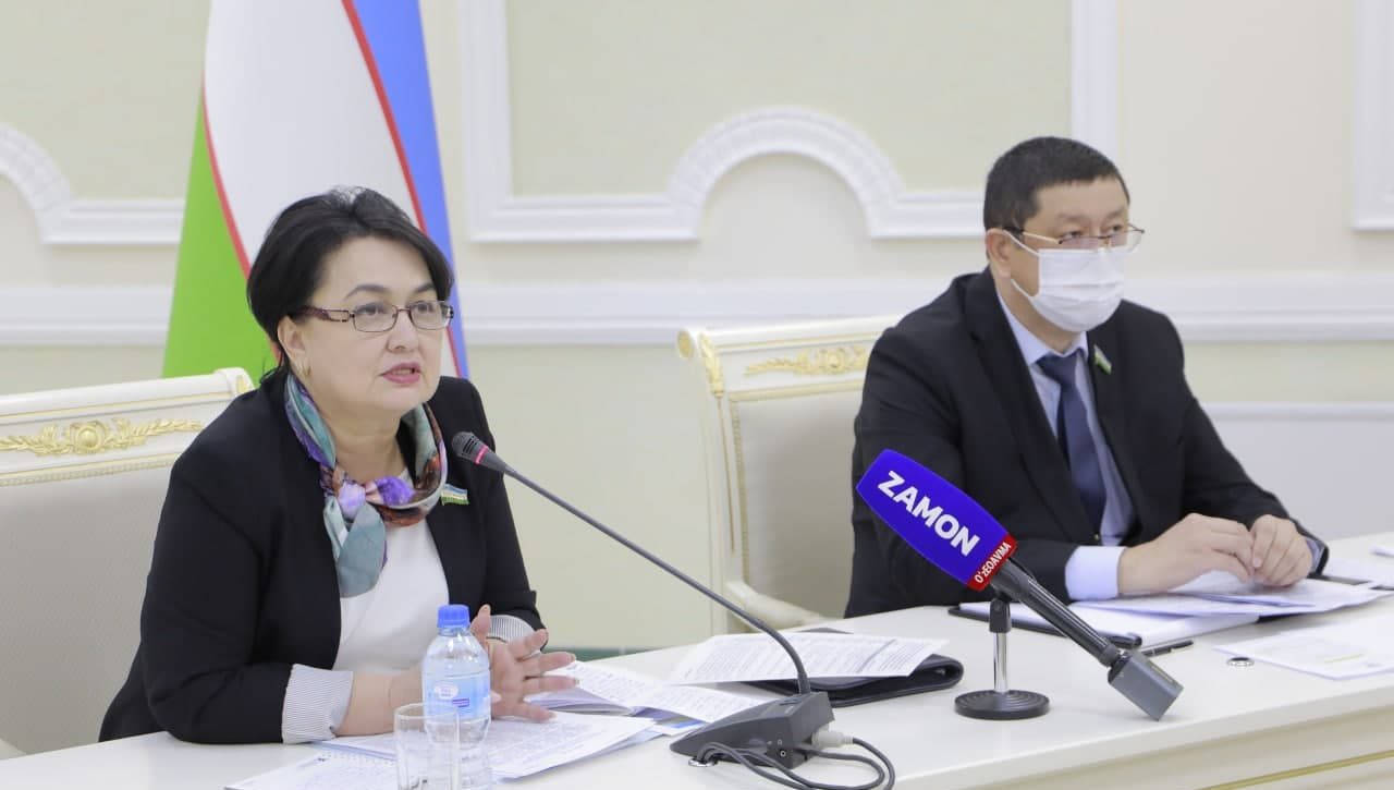 Yangi O‘zbekiston taraqqiyot strategiyasi va tashqi siyosat:  maqsad-vazifalar ijrosida parlamentning o‘rni