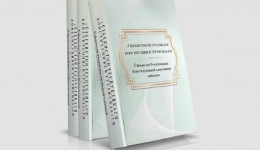 Draft Constitutional Law printed in Braille