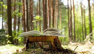 O‘zbekistonda Ekologiya kodeksi qabul qilinadi
