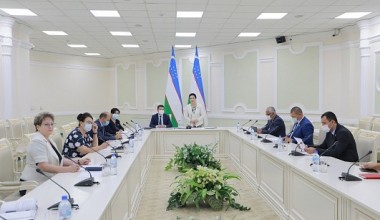 Nogironligi bo'lgan shaxslarning huquqiy himoyasi: milliy va xorijiy tajriba