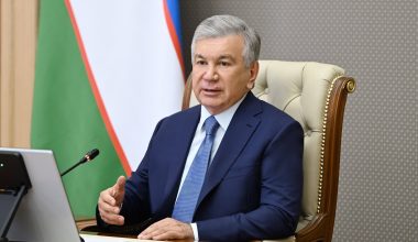 Представлены меры по дальнейшему развитию малой и микрогидроэнергетики
