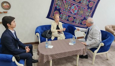 Подход Узбекистана к реформам законодательства обсужден с европейскими партнерами