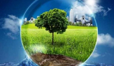 Ekologik islohotlar strategik darajada kuchaytiriladi