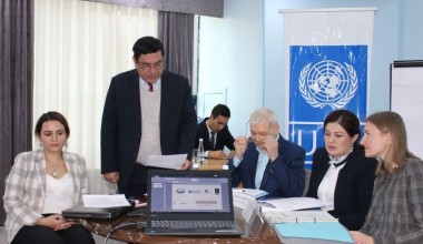The procedure for the consideration of individual communications in the UN treaty bodies and a review of best practices for the implementation of their Views (for example, the Human Rights Committee)