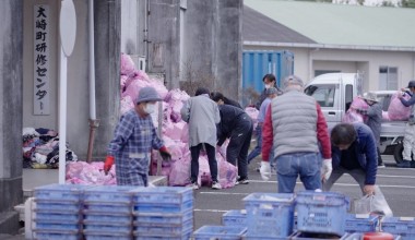 СЮЖЕТ | Осаки: японский город, который перерабатывает почти все свои отходы