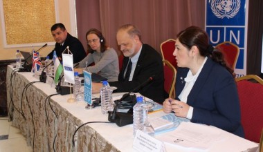 “Next steps to implement the recommendations of the UN Committee against Torture”