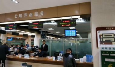 Foreign experience in the provision of public services