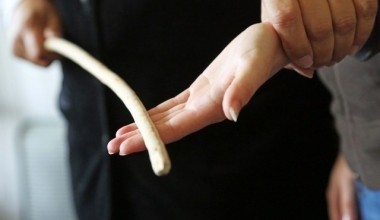 Zo‘ravonlik sodir etishga moyil bo‘lgan pedagog xodimlar ro‘yxati shakllantiriladi