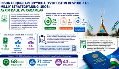 Implementation of the National Human Rights Strategy of the Republic of Uzbekistan: Selected Facts and Figures