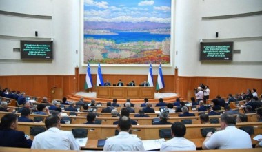 Senat yalpi majlisining birinchi kuni xotin-qizlar huquqlariga doir ikkita qonun tasdiqlandi