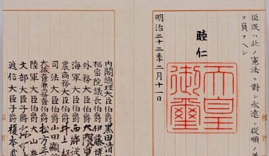 The Constitution and the Welfare of the Society