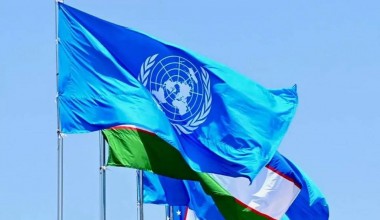 БМТнинг вақтинча чора кўришга оид мурожаатлари қандай кўриб чиқилади?