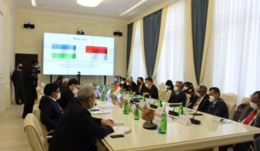 Встреча с делегацией Комитета межпарламентского сотрудничества Палаты представителей парламента Индонезии