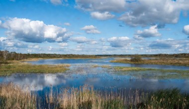 Рамсар Конвенцияси ва Янги Ўзбекистоннинг “Яшил макон” дастури – амалда