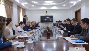 BMTning Inson huquqlari bo‘yicha Oliy komissari Orolbo‘yida