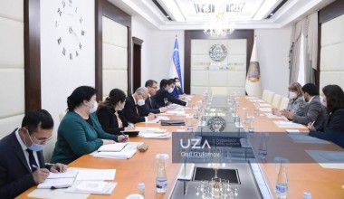 Фионнуала Ни Аолайн: “Опыт Узбекистана может служить примером”