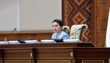 На пленарном заседании Сената обсуждена деятельность Уполномоченного по правам человека (омбудсмана) в 2024 году