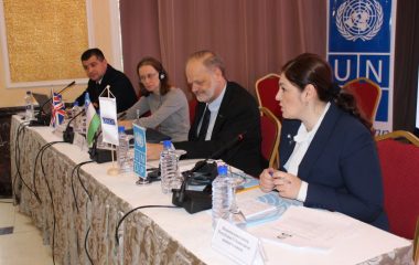 «Последующие шаги по выполнению рекомендаций  Комитета ООН против пыток»